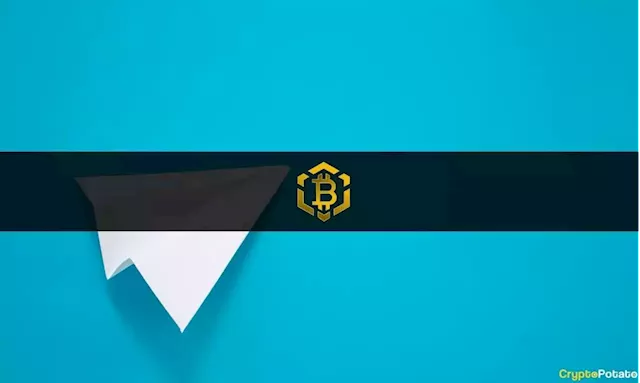 Toncoin Price Slides 7%, But Bitcoin BSC Continues to Defy Bearish Market by Raising $4m