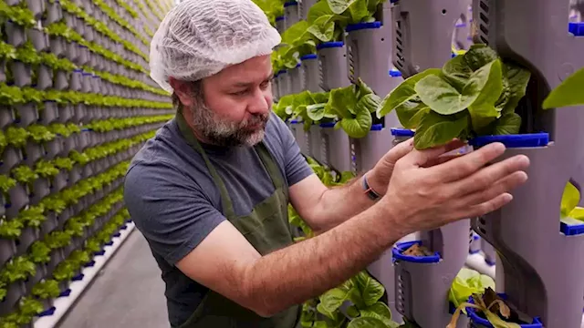 Indoor farming uses less water and land. So what’s causing some companies to fail?