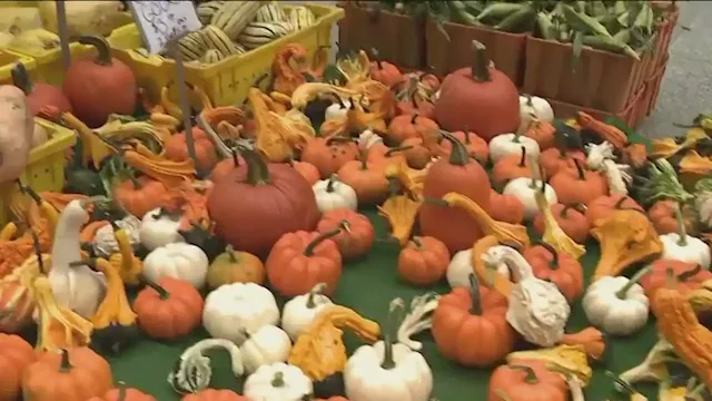 Chicago's longest running farmers market makes its return to Daley Plaza