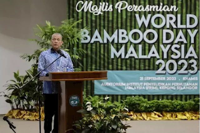 Holistic approach needed for transformation of bamboo industry in Malaysia, says DPM Fadillah