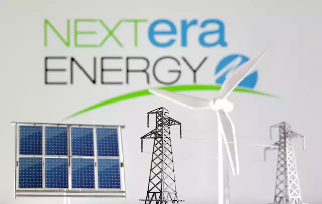 NextEra workers roll the dice with big bet on company stock