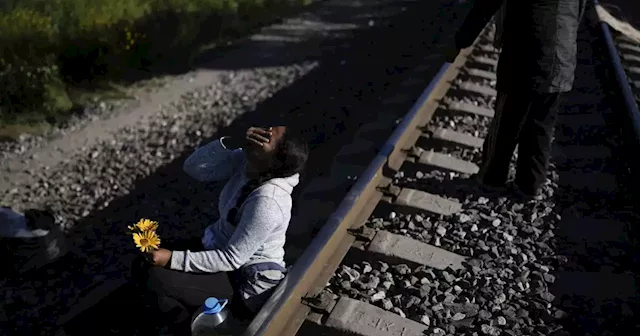 Wave of migrants that halted trains in Mexico started with migrant smuggling industry in Darien Gap