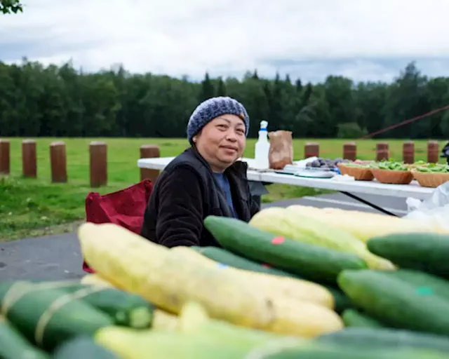 From hidden gem to local favorite: Anchorage’s Hmong market grows in popularity