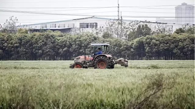 ​Farmland will be a valuable investment amid climate change: expert