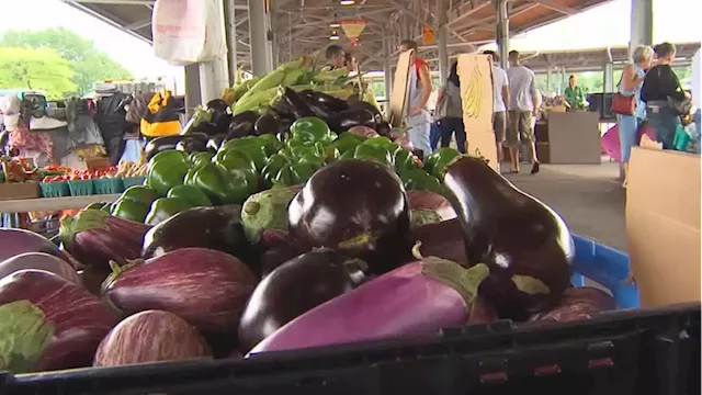 Rochester public market welcomes autumn with first-ever Oktoberfest celebration