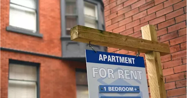 Rental search in hot market causing stress for many: ‘There’s just not enough’