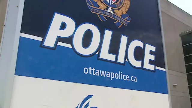 Ottawa man charged in assault that injured two Halton police officers in ByWard Market