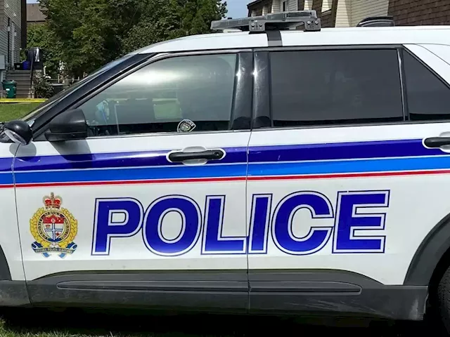 Ottawa man charged following assault of Halton police officers in ByWard Market