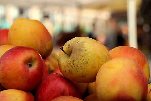 – Saturday morning (9/23) at Columbia Heights Farmers Market