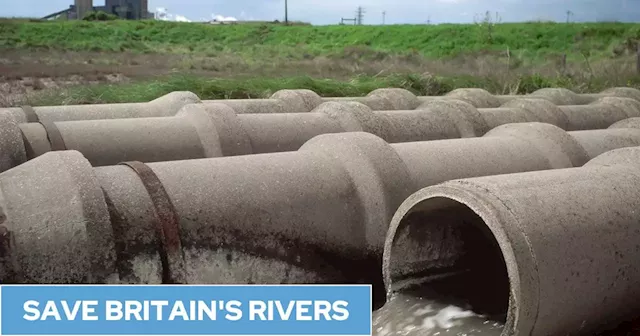 'Truly frightening' that water companies can't meet investment targets, say river campaigners