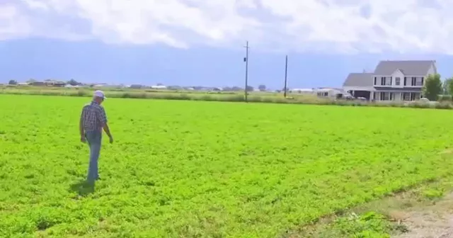 Nanotech business in Utah helps farmers fertilize more effectively