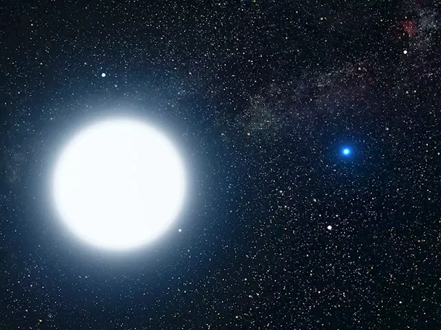 Investigating the evolution of a double oxygen-neon white dwarf merger remnant