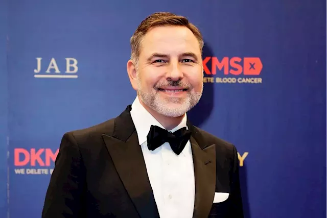 What David Walliams is reported to have said on BGT as he sues production company