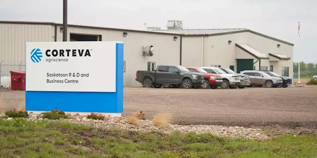 Top Agriculture Company Corteva Accuses Startup of Stealing Seeds