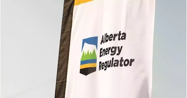 Alberta energy company fights regulator over seizure of thousands of wells