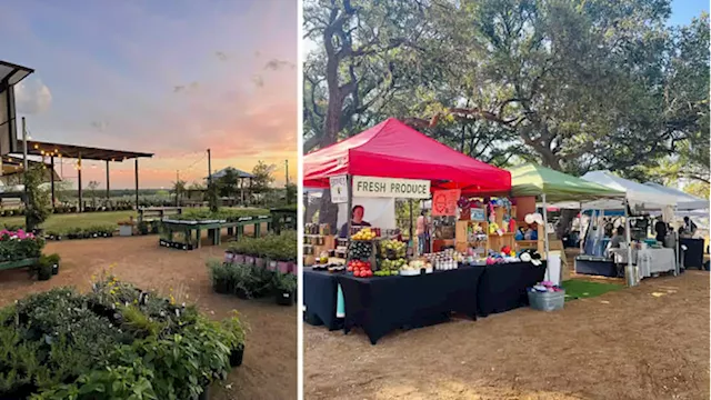 New Hill Country farmers market lets visitors walk through an oasis of produce and plants