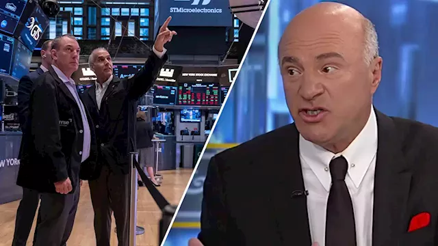 'Shark Tank' star reveals the stocks showing ‘more cracks’ in the market