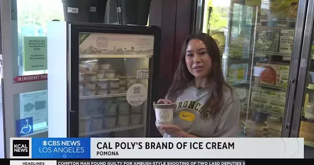 Cal Poly students team up with local business to create unique ice cream made from avocado