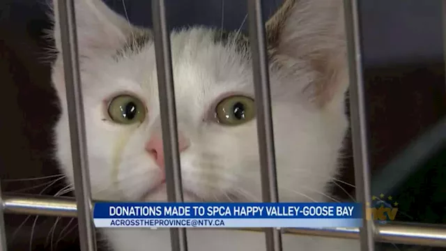 Company comes through with help to save Happy Valley-Goose Bay SPCA