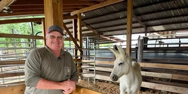 Wetumpka farmer names meat market after his donkey Casper