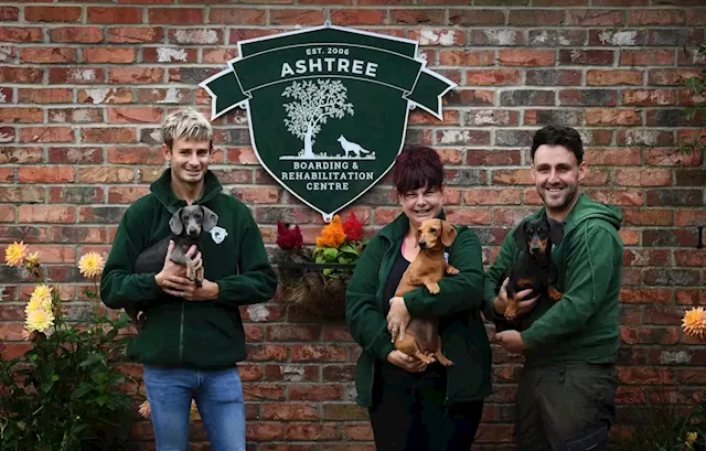 Meet the Yorkshire couple whose dream rural business covers dog training, a cattery, cattle farming and hairdressing