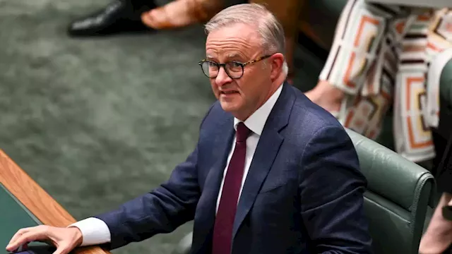 Labor’s misinformation bill will ‘embolden’ the fact-checking industry