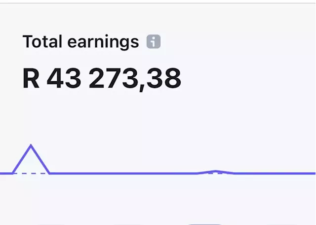 'Elon Musk just paid me': SA Twitter influencers share earnings