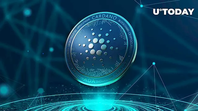 Cardano Defies Market Trends with Rising On-Chain Transaction Volume