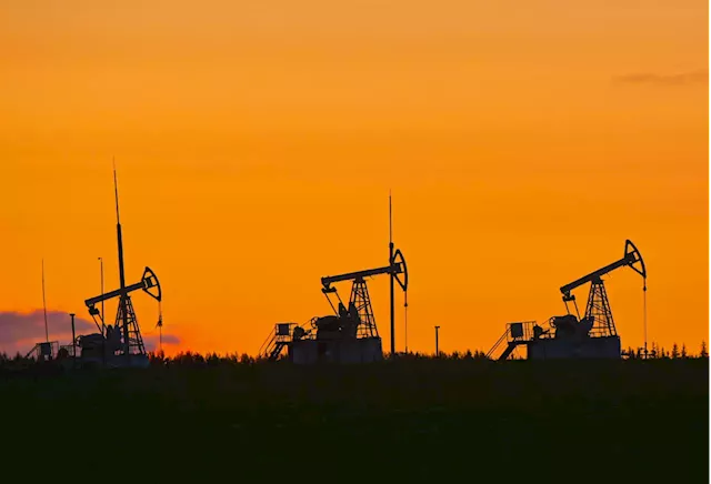 Oil prices up 25% since late June as supply cuts squeeze market