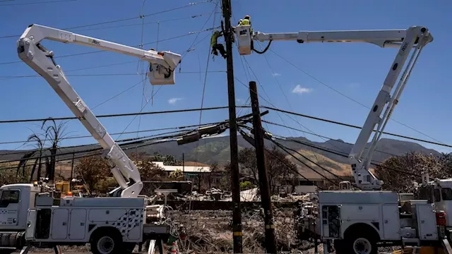 Lawyers claim cable TV and phone companies also responsible in Maui fires