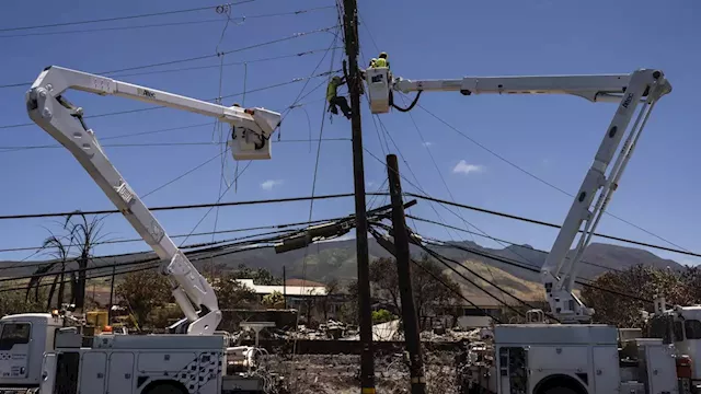 Lawyers claim cable TV and phone companies also responsible in Maui fires