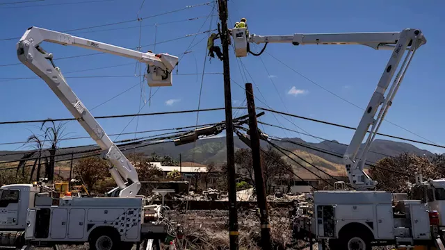 Lawyers claim cable TV and phone companies are also responsible in Maui fires