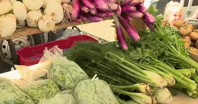 Farmers market vouchers promote healthy eating among Utahns in need