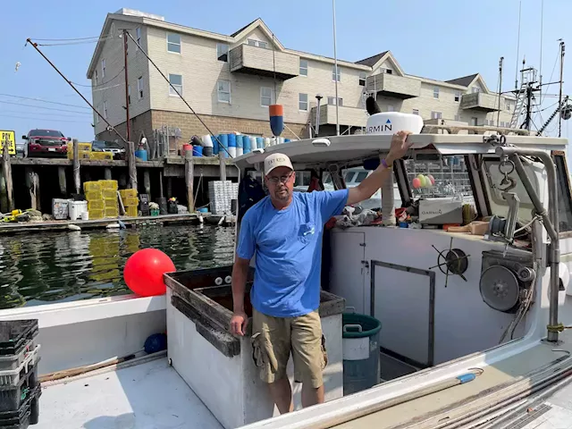 Maine lobstermen are getting into the seaweed business as climate change threatens the catch