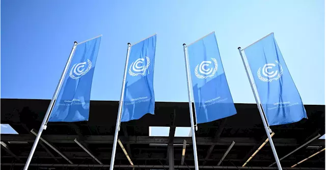 COP28 needs to show action not words for business, finance leaders