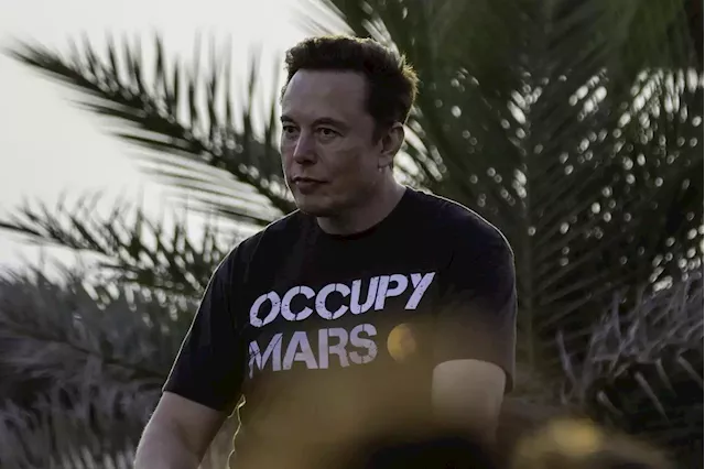 What You Get When You Go Into Business With Elon Musk