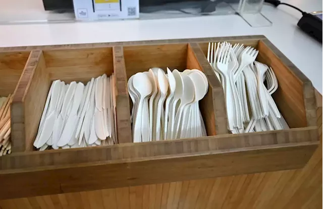 What Companies Can Learn About Climate Action From a Take-Out Cutlery Study