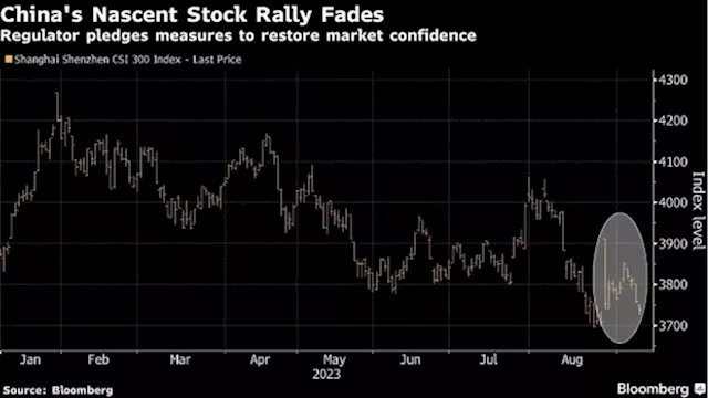 China Stock Regulator Vows Market Support After Investor Meeting