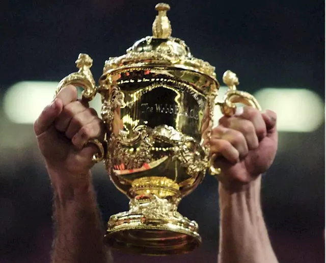 Rugby World Cup: Investment picks from the pools