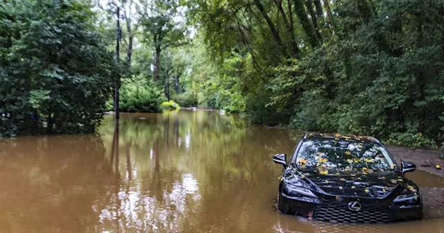 Better Business Bureau warns of Hurricane Helene relief donation scams