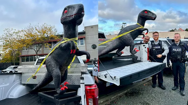 Stolen ‘T-Rex’ statue returned after theft from Langford business