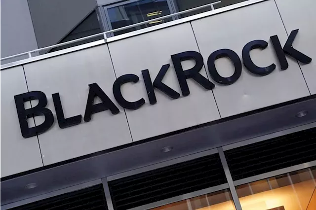 BlackRock hits record high $11.5 trillion in assets on market rally, ETF boost