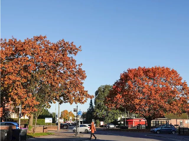 Beautiful photos capture autumn scenery in Market Drayton as vibrant greens of summer fade