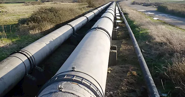 Oil Companies Call For Legislative Intervention To Curb Pipeline Vandalism