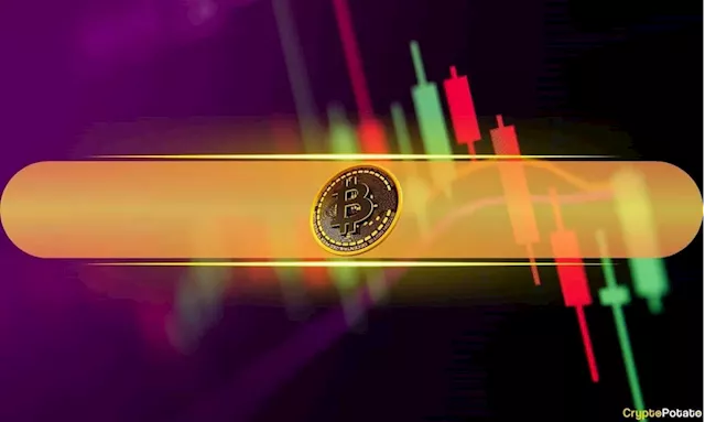 These 2 Meme Coins Chart Biggest Daily Gains as Bitcoin (BTC) Maintains $67K (Market Watch)