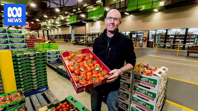 Food price hikes expected after government authority doubles rent at Melbourne wholesale market