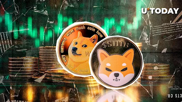 DOGE, SHIB Dominate Crypto Market With 5 Months High in Social Activity