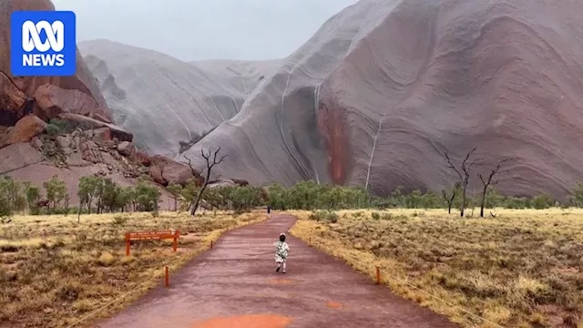 Uluru wet weather track closures costing tourism operators vital business