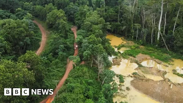 Galamsey: Ghana's illegal gold mining industry causes environmental destruction