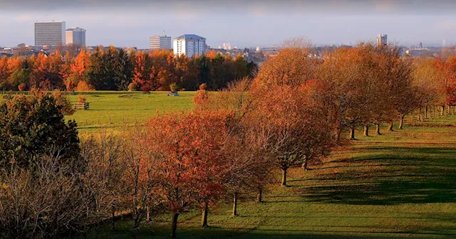 The stunning autumn walk near Glasgow with adventure park and farmer's market